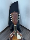 Airline Kay Mandolin With Thickly Padded Gig Bag