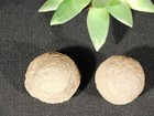 Nice  And 100  Natural Moqui Marble   Shaman Stone Pair Utah 113gr