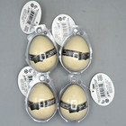 Dino World Grow Egg Lot Of 4 Jaru 2016 Hatching Dinosaur Toy Educational New