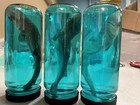 Real 7 Inch Shark In A Bottle Jar  Marine Specimen Taxidermy  Fishing  Jaws -
