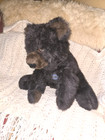 Limited Edition Collector s Classic Gund Bear Large