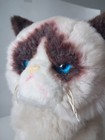Licensed Grumpy Cat Plush Gund Stuffed Animal Dwarf Siamese 9in Internet 