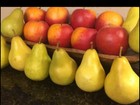 Faux Fake Fruit Apple Pear Interior Decor Farm 18 Count Artificial High Quality 