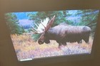 Epson Powerlite 1985wu 3lcd Wireless Projector H619a