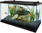 Aquarium  10 Gallon  Complete Tropical Fish Tank Kit With Led Lighting For Fresh