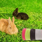 Guinea Pig Toys Rabbit Tunnel Hamster Tunnel Hedgehog Toy Tunnel Cage House
