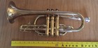 Ambassador Cornet