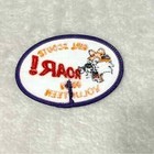 Girl Scouts Roar 2000-01 Volunteer Tiger Vintage Badge Patch Fbx