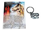 Tyrannosaurus Rex Skull Keychain Fossil Replica 1  Size  small 