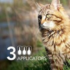  Firstact Plus Flea And Tick Topical For Cats Over 1 5lbs  3 Dose 3 Doses