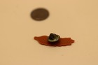 Kansas The Wheat State Kansas Wheat Commission - Brown Plastic Lapel Pin