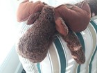 Princess Soft Toys Longfellow Brownmoose Long Body Plush Stuffed Animal 2000 25 