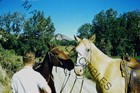 Original 1940 Americana 35mm Red Border Kodachrome Photo Slide Candid 002117