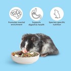 Kaytee Food From The Wild Natural Pet Hamster Food  2 Pound