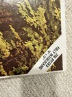 Vintage Whitman Jigsaw Puzzle 750 Piece  bright Stream  Sealed