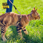 Cat Harness With Leash And Collar Set  Adjustable H-shaped Kitten Harness Escape