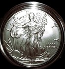2017  American Silver Eagle  1  Oz  Fine Silver Coin In Capsule 999 Gem   Bu-unc