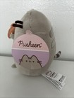 Nwt Pusheen Gund Cat Plush Toy W pretzel 