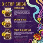 3 Pack   4lb All-in-one Mushroom Grow Kit With Milo Sorghum Grain