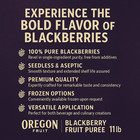 Oregon Fruit Oregon Fruit Blackberry Fruit Puree 11 Lb 