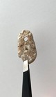 Natural Holey Beach Rock Hag Stone Adder Fairy Wishing Mystical Magic  b Usa