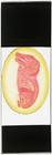 Antique Microscope Slide By Hornell- Whole Mole