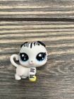 Htf Littlest Pet Shop Lps Purrty Kittery Cat Special Collection Bengal Tiger