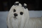 Large  Heavy Dog Figurine  Maltese  Sandicast Of San Diego  Sandra Brue  1987