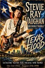 Stevie Ray Vaughan Texas Flood Double Trouble Guitar Fan Art Gloss Poster 24x33