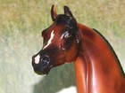 Peter Stone Traditional Arabian   Cumin   Ooak Glossy Dapple Bay