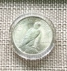 Peace Silver Dollar Coin  1922-1923  Bu 90  Silver  7734 Oz 
