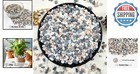 2lb Decorative Natural Pebbles - Perfect For Succulents  Cacti  And Aquariums