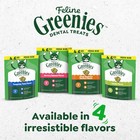 Greenies Feline Adult Dental Cat Treats  Savory Salmon Flavor  2 1 Oz  Pack