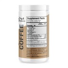 Evolution Fit Cappuccino Coffee Supplement     17 637 Oz  500g 