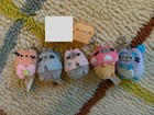 Pusheen Lot  blind Box  Forest  Cozy  Mushroom  Bow  Bread  Robe 