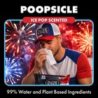 Poopsicle Adult Flushable Wet Wipes  Ice Pop Scented  384 Count
