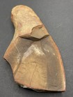 Mazon Creek Tully Monster Freeze thaw Project- Is The Neck And Claw Present 