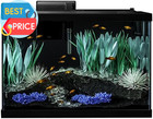 Colorfusion Aquarium 20 Gallon Fish Tank Kit  Includes Led Lighting And Decor
