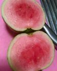 Beauflora Hybrid Guava   Red Diamond  Guava   Layering Plant   1 Bare-root Plant