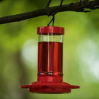 First Nature Hanging Hummingbird Feeder Red Easy To Clean 16 Oz  2 Pack 