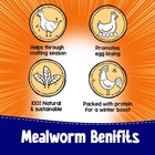 22lb Bulk Bag Dried Mealworms   High Protein Chicken Treat   Non-gmo   Clearance