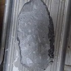 Orthoceras Fossil Specimen In Matrix