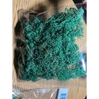 Floral Garden Reindeer Moss Green 24 Cu In 2 Packs Preserved Craft Floral Decor