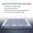 5x Page Magnifier With 12 Anti-glare Dimmable Led Lights more Evenly Lit Area 
