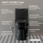 One Piece Toilet Matte Black With Soft Closing  uf Seat dual Flush 12   Rough-in