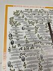 Nos 1992 Masters Of Classical Music Composer Family Tree 26  X 38  Poster