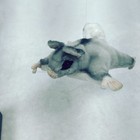 Handcrafted 8 Inch Lifelike Flying Squirrel Stuffed Animal By Hansa Plush