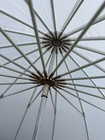 Lot Of 2 Paul C Buff 51  White Plm Umbrella Parabolic Shoot Through Bounce Photo