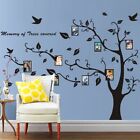 Family Living Room Wall Decoration Sticker Art Decal Home Background Photo Tree