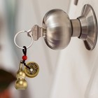 2 Pieces Chinese Coins Feng Shui And Brass Wu Lou Health Amulet Gold Red 